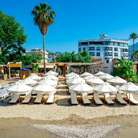 Demanor Adult Only *