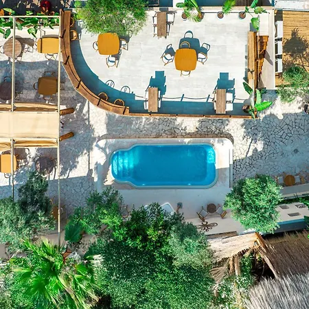 Demanor Adult Only * 阿拉尼亚